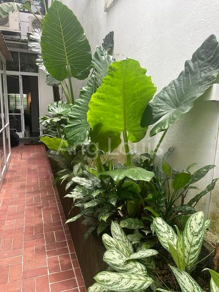 1 Bed Walk-up Apartment (Condo) for Rent in  Tiong Bahru Estate - Image 1